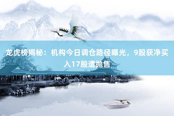 龙虎榜揭秘：机构今日调仓路径曝光，9股获净买入17股遭抛售